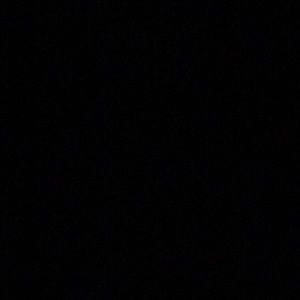 Meet your Posher, Hector